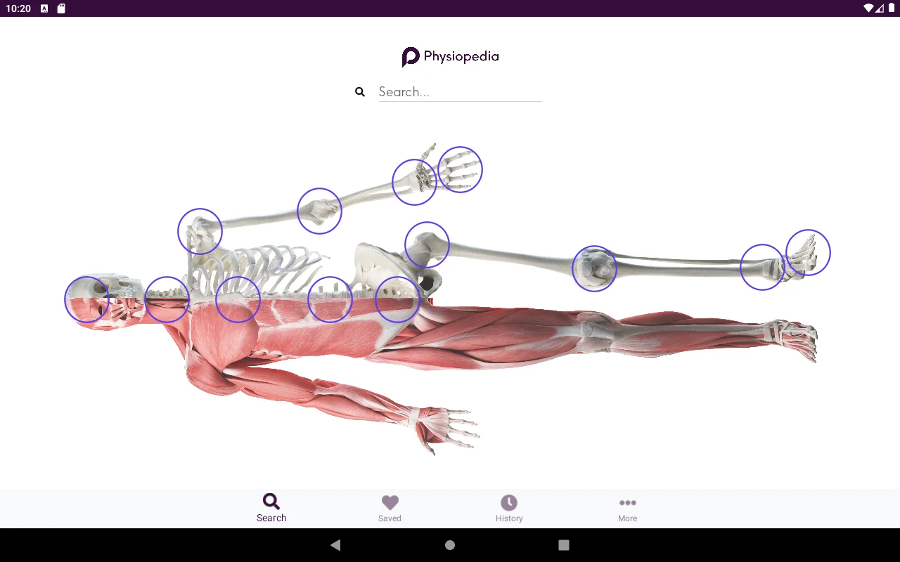 Physiopedia screenshot